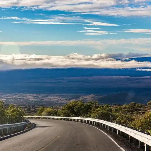 Saya lebih suka fleksibilitas dan spontanitas dalam menjalani hari.