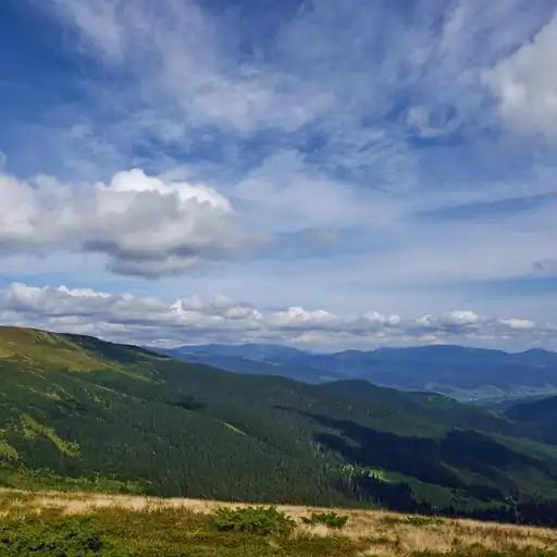 Saya percaya bahwa spontanitas dan adaptabilitas membuka peluang baru dalam hidup.